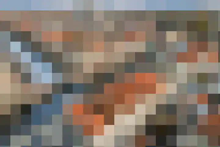 Utrechtse Veer 4 C Leiden thumbnail 29
