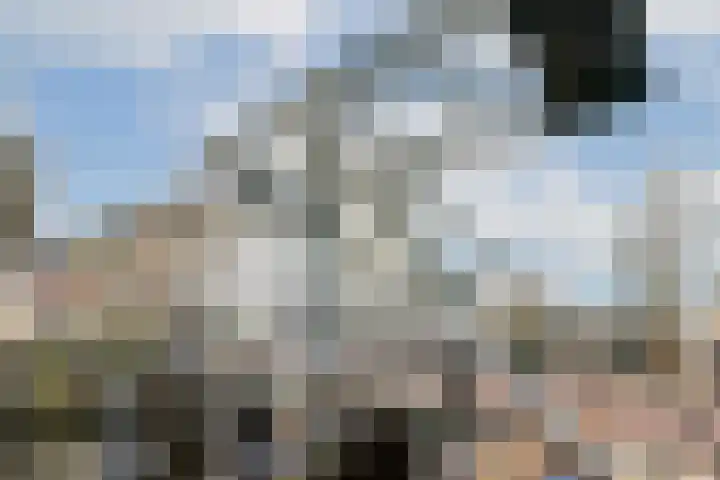 Utrechtse Veer 4 C Leiden thumbnail 33