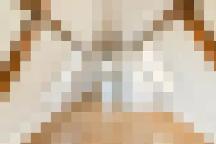 Utrechtse Veer 4 C Leiden thumbnail 4