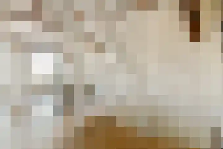Utrechtse Veer 4 C Leiden thumbnail 9