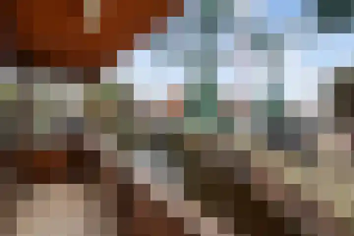 Utrechtse Veer 40 Leiden thumbnail 13