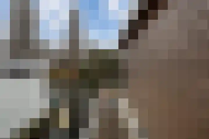 Utrechtse Veer 40 Leiden thumbnail 19