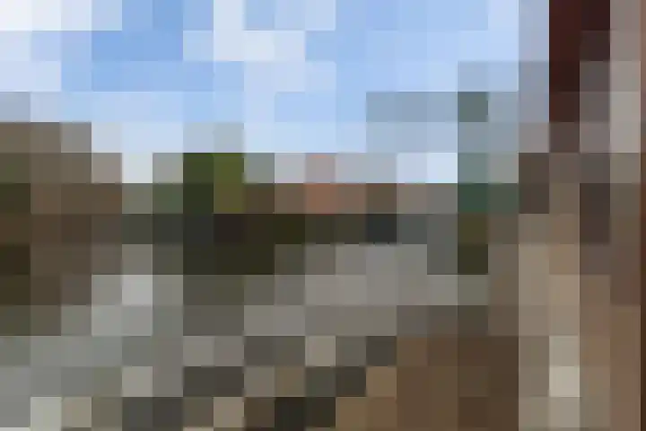 Utrechtse Veer 40 Leiden thumbnail 20