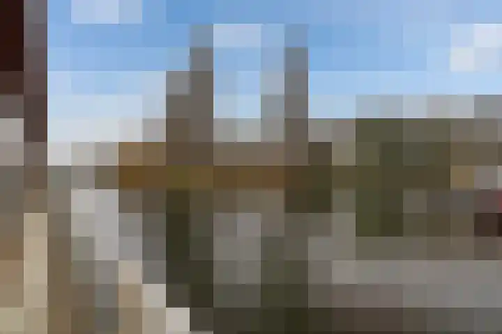 Utrechtse Veer 40 Leiden thumbnail 21