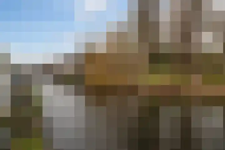 Utrechtse Veer 40 Leiden thumbnail 22