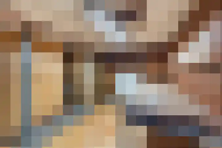 Utrechtse Veer 40 Leiden thumbnail 30
