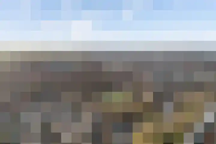 Utrechtse Veer 40 Leiden thumbnail 33