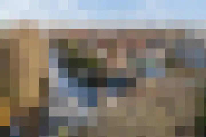 Utrechtse Veer 40 Leiden thumbnail 35