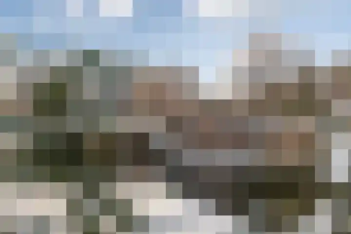 Utrechtse Veer 40 Leiden thumbnail 38