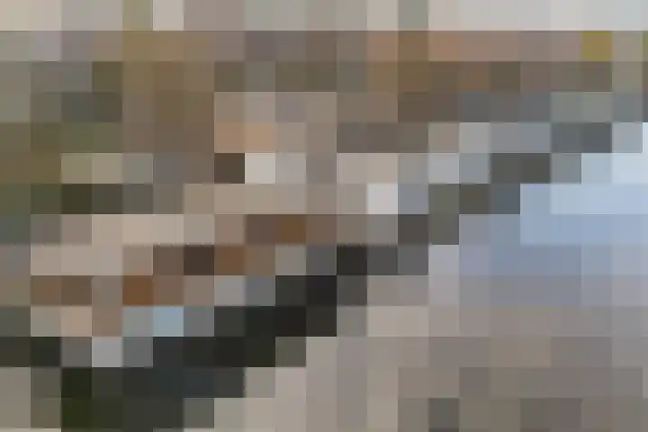 Utrechtse Veer 40 Leiden thumbnail 39