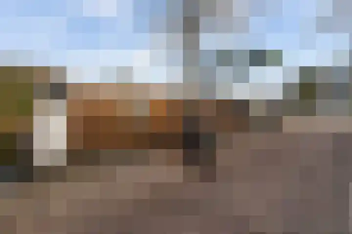 Utrechtse Veer 40 Leiden thumbnail 43