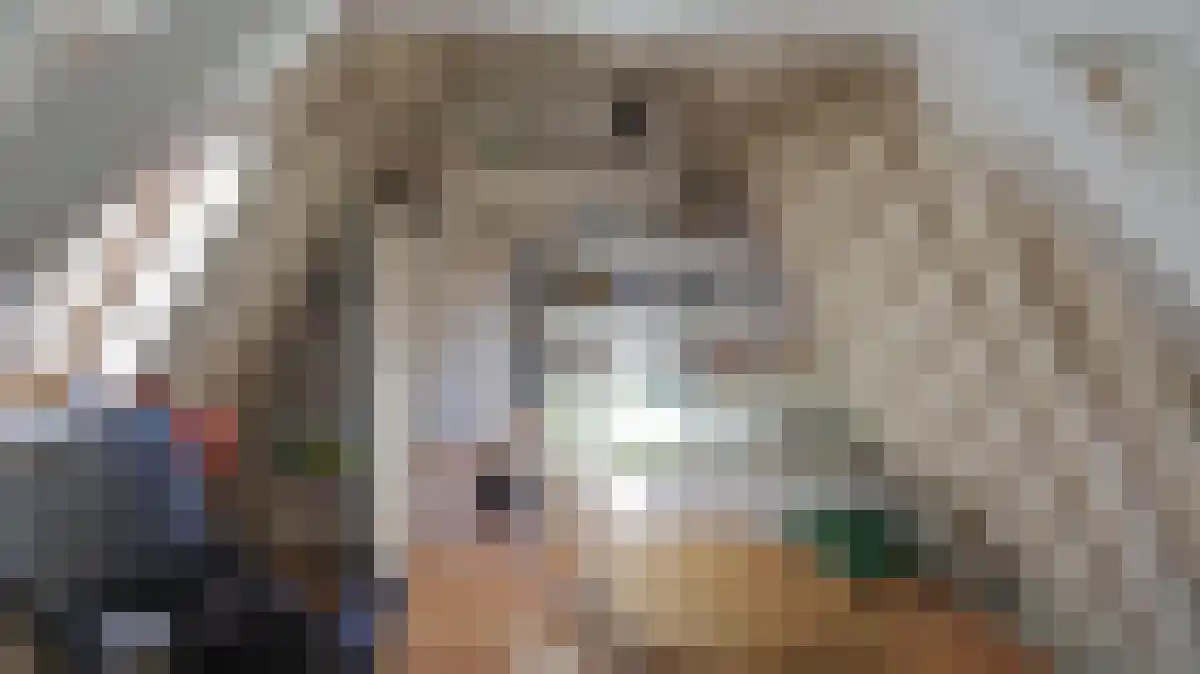 Utrechtse Veer 8 A Leiden thumbnail 4