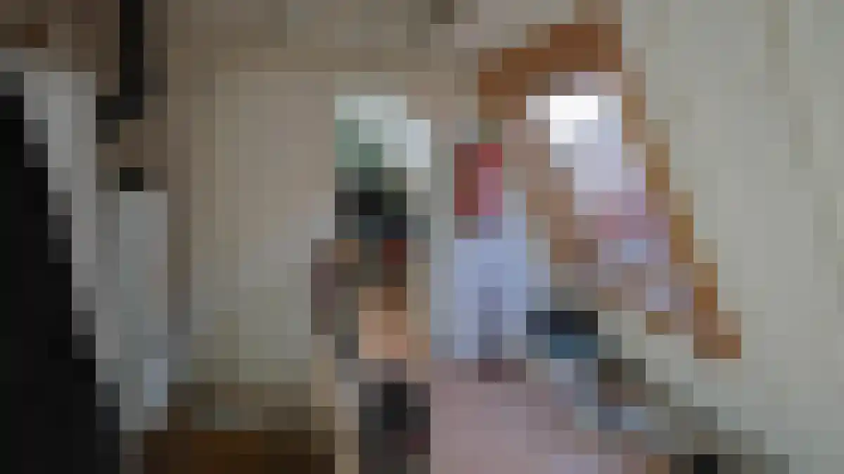 Utrechtse Veer 8 A Leiden thumbnail 5