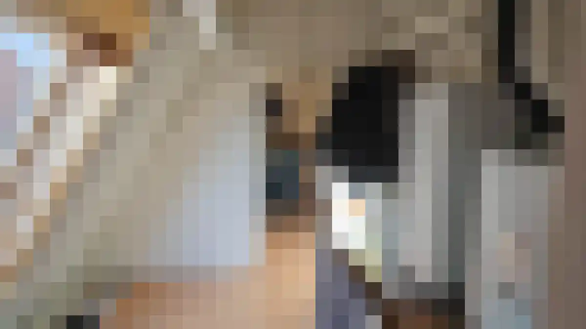 Utrechtse Veer 8 A Leiden thumbnail 6
