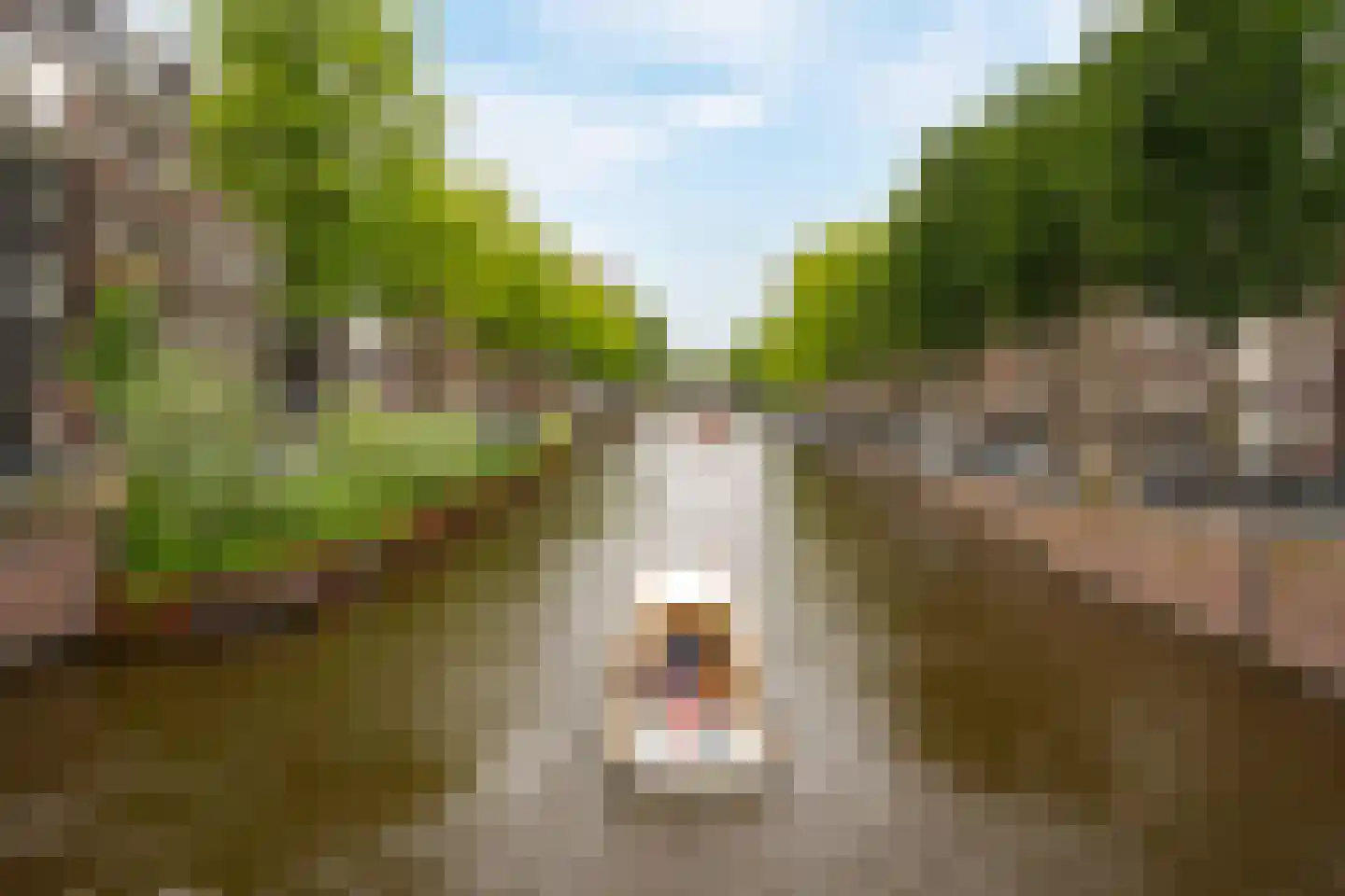 Utrechtsedwarsstraat 32 B Amsterdam thumbnail 5