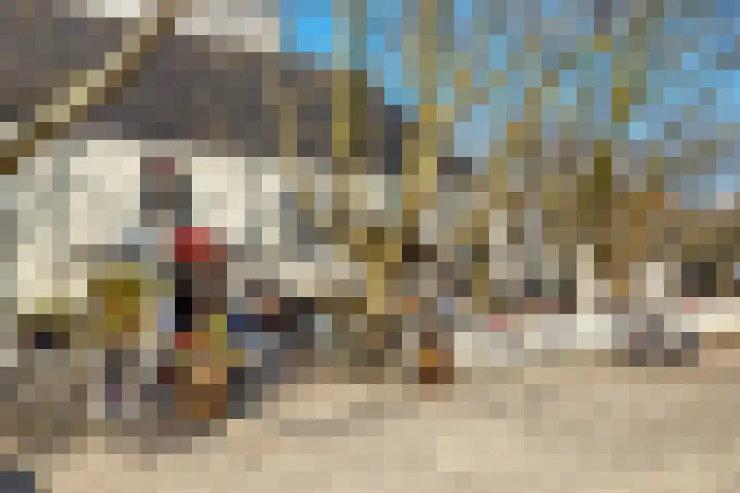 Utrechtsedwarsstraat 46 Amsterdam thumbnail 28