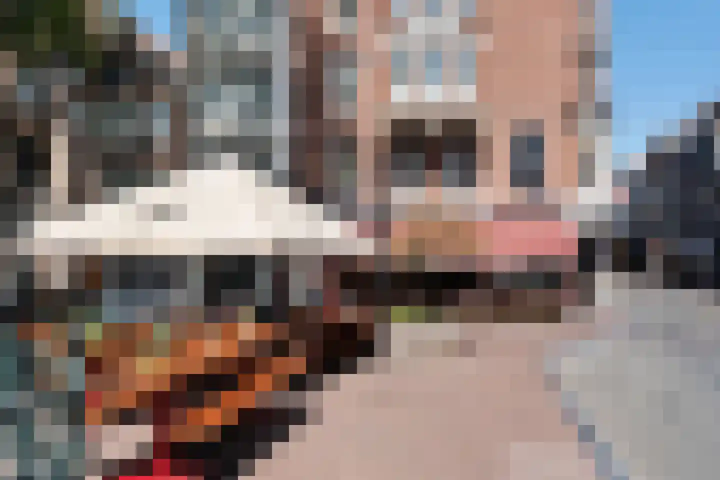 Utrechtsedwarsstraat 81 E Amsterdam thumbnail 44