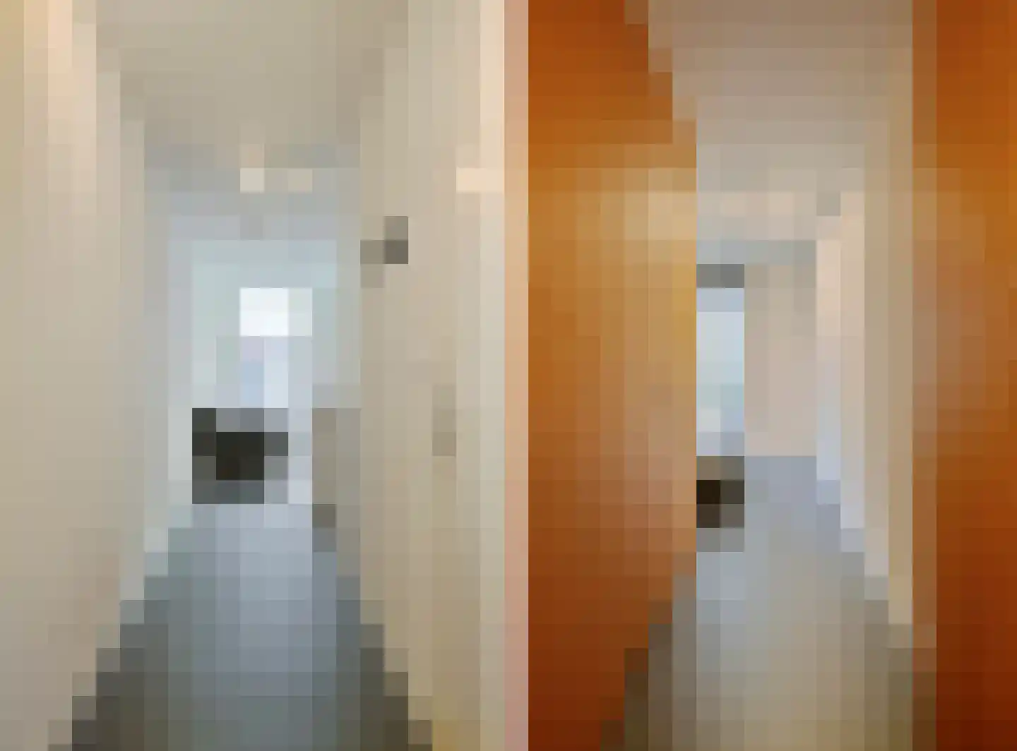 Utrechtsestraat 131 B Amsterdam thumbnail 9