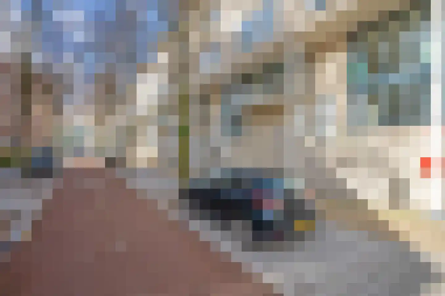 Utrechtsestraat 19 Den Haag thumbnail 34