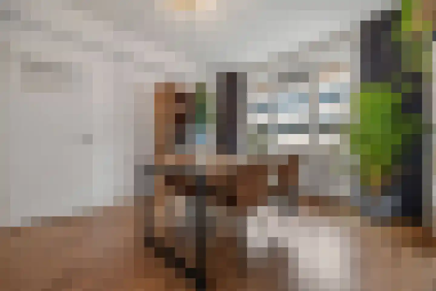 Utrechtsestraat 25 Arnhem thumbnail 9