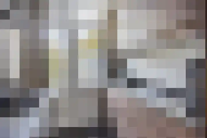 Utrechtsestraat 27 Budel thumbnail 7