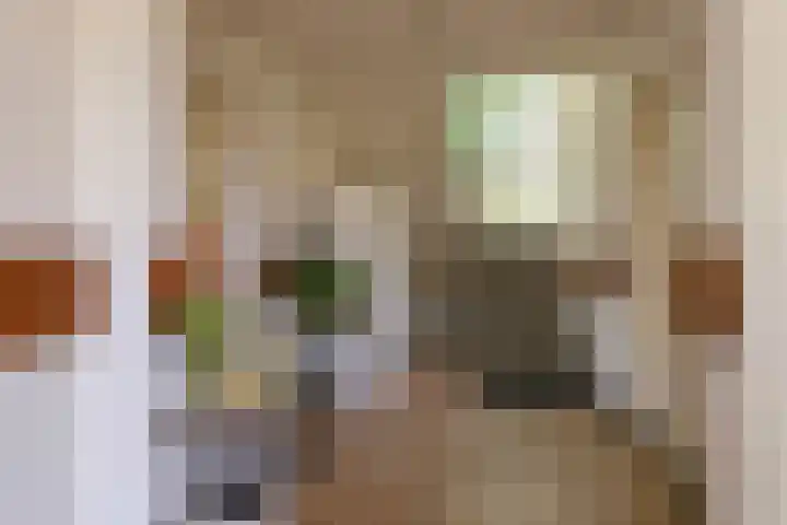 Utrechtsestraat 31 Budel thumbnail 5