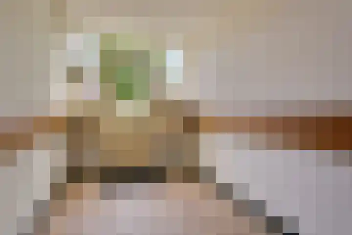 Utrechtsestraat 31 Budel thumbnail 6