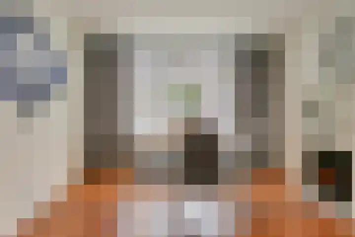 Utrechtsestraat 31 Budel thumbnail 9