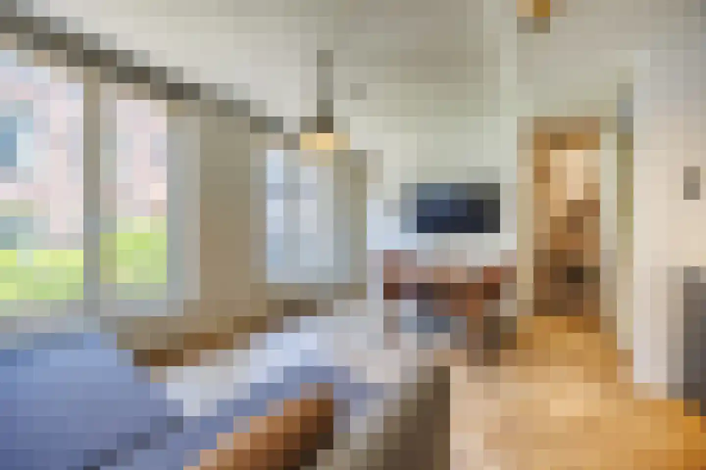 Utrechtsestraat 74 Amsterdam thumbnail 4
