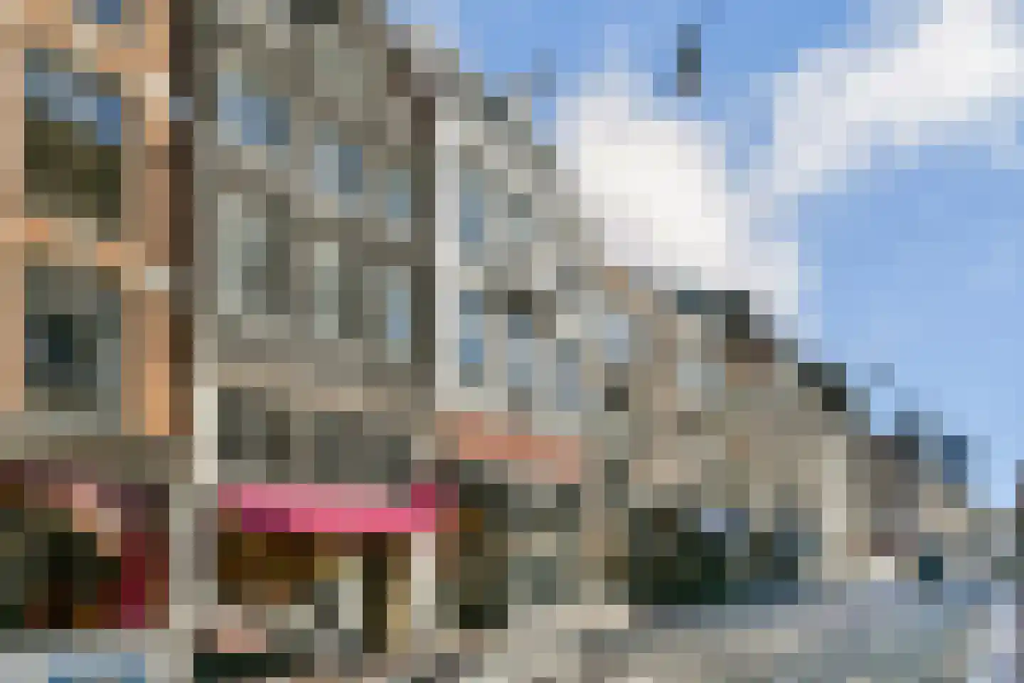Utrechtsestraat 99 1 Amsterdam thumbnail 22