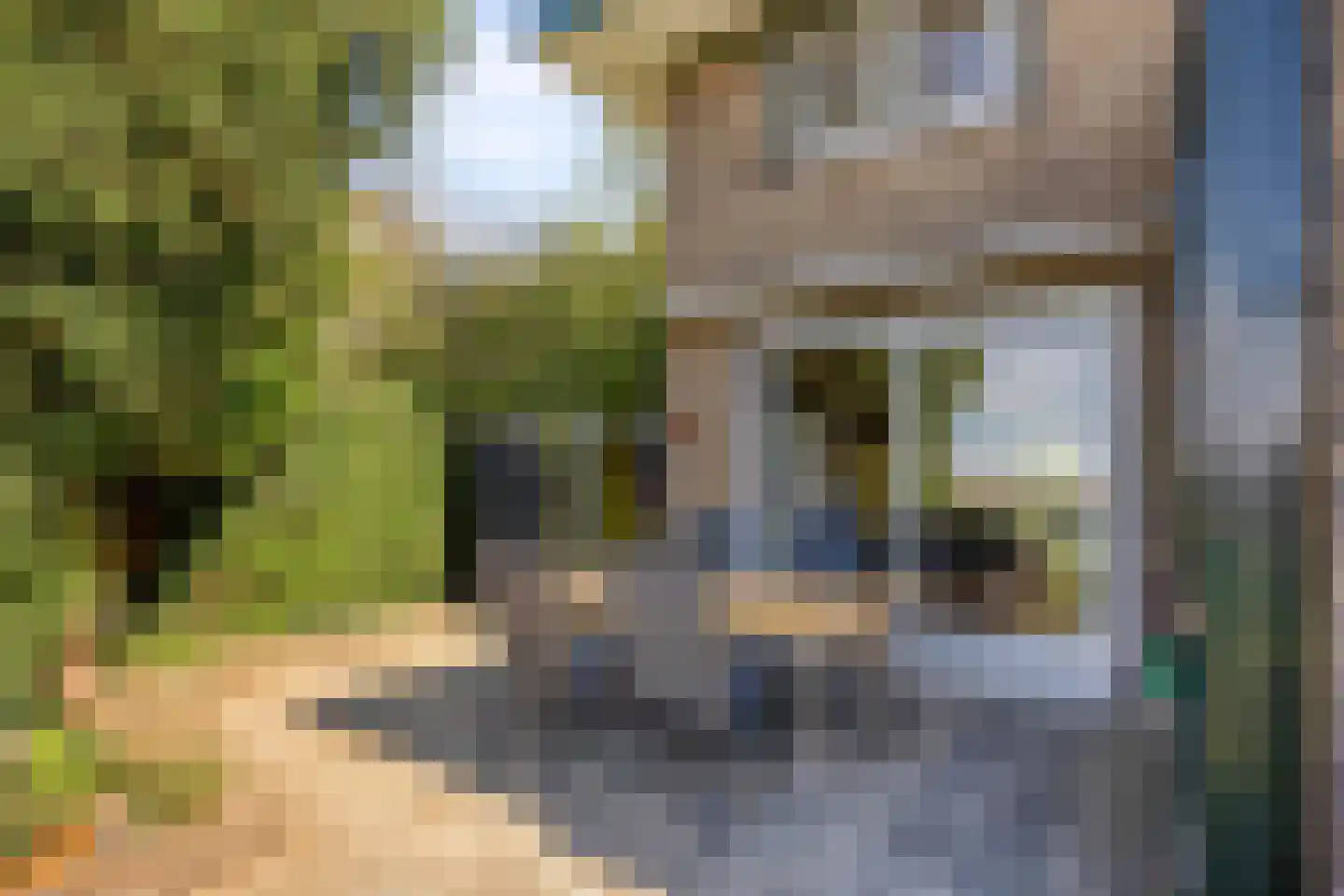 Utrechtsestraatweg 31 Rhenen thumbnail 48