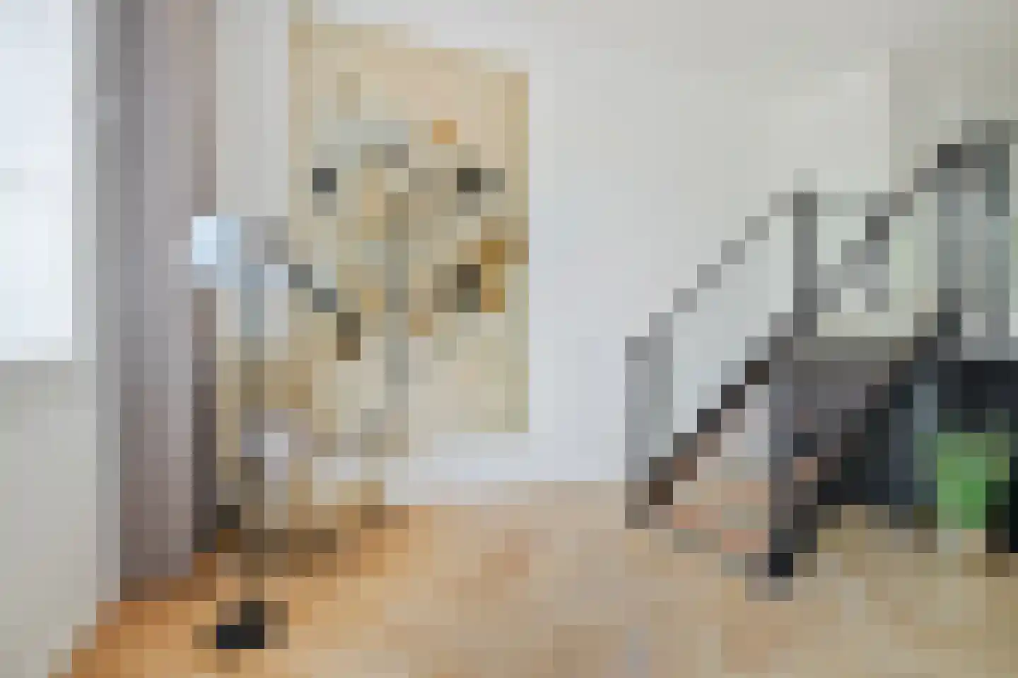Utrechtsestraatweg 4 8 Nieuwegein thumbnail 12