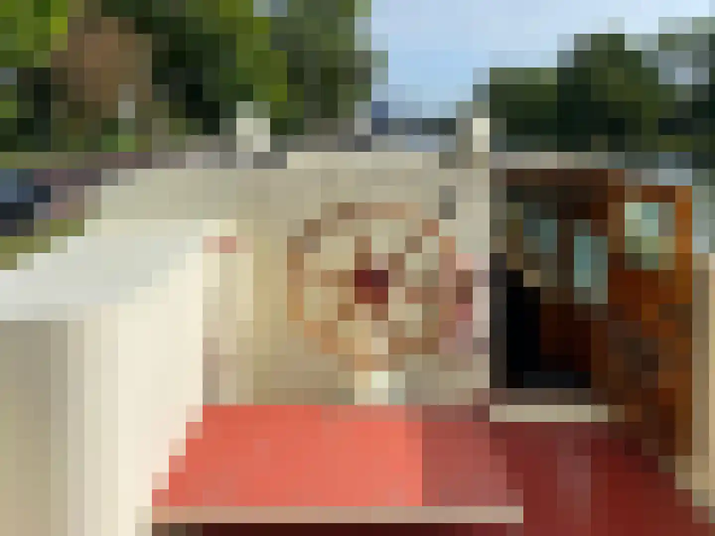 Utrechtsestraatweg 88 A Nieuwegein thumbnail 18