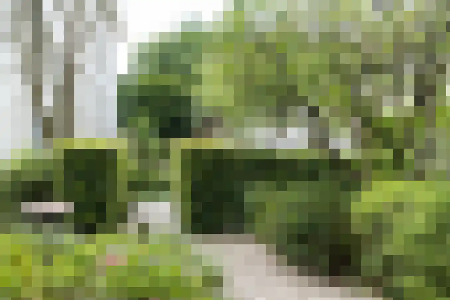Utrechtseweg 123 C Zeist thumbnail 30