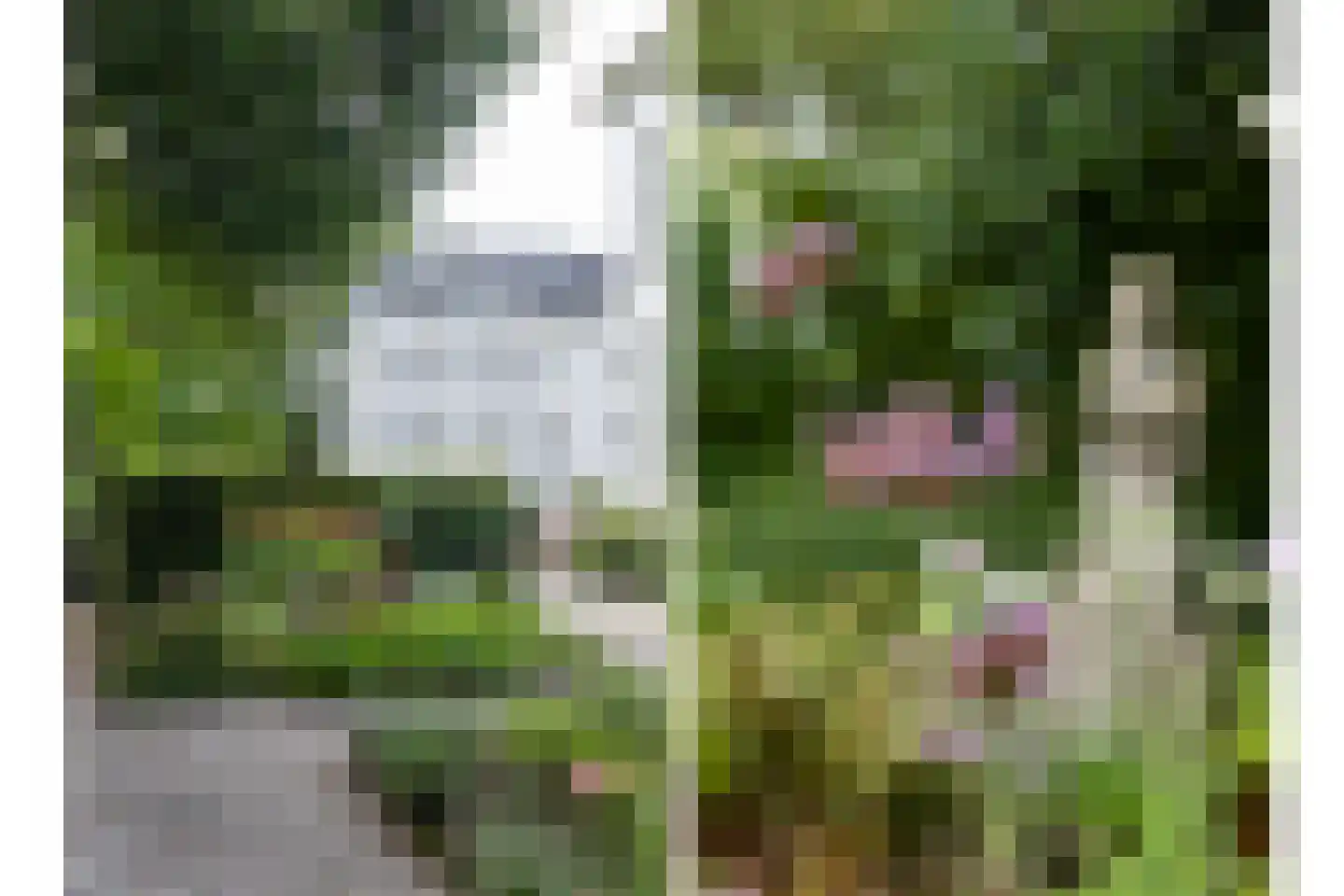 Utrechtseweg 123 C Zeist thumbnail 31