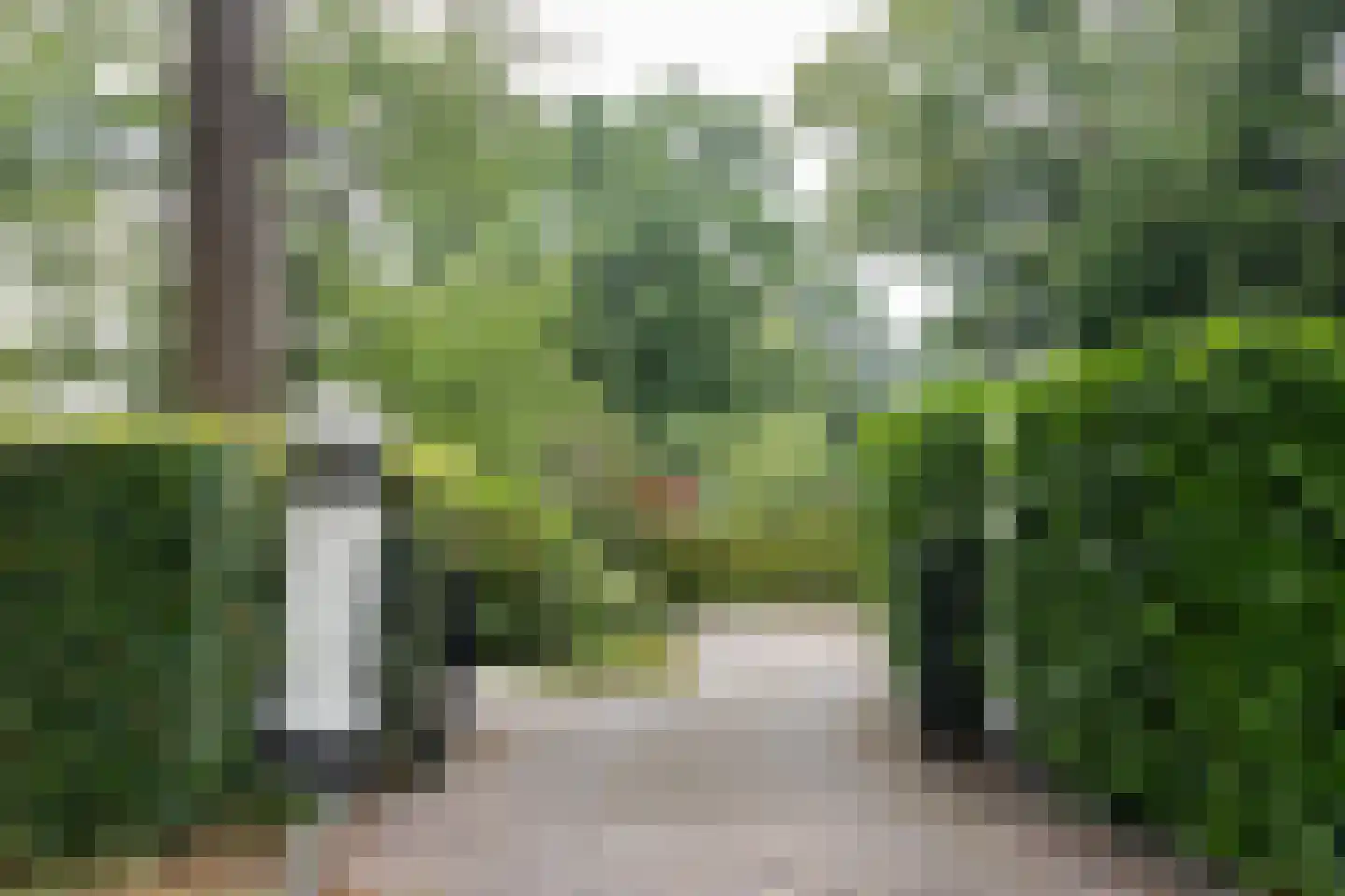 Utrechtseweg 123 C Zeist thumbnail 32