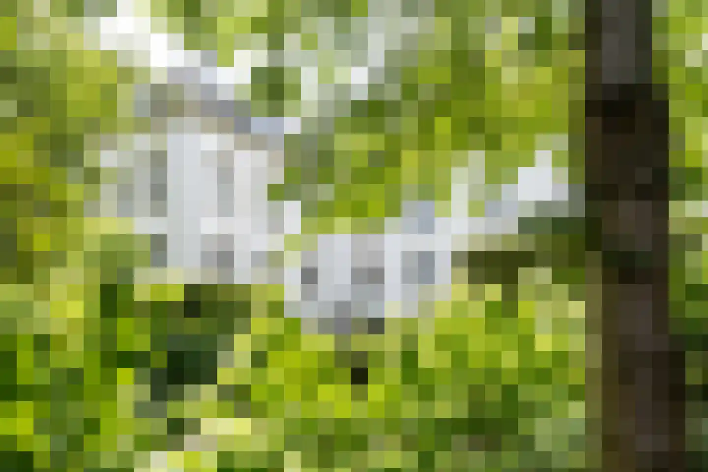 Utrechtseweg 123 C Zeist thumbnail 34