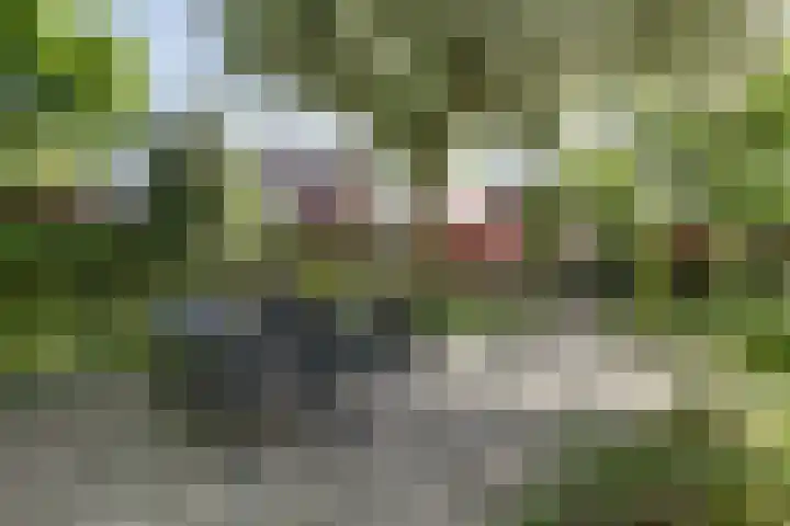Utrechtseweg 125 D Zeist thumbnail 21