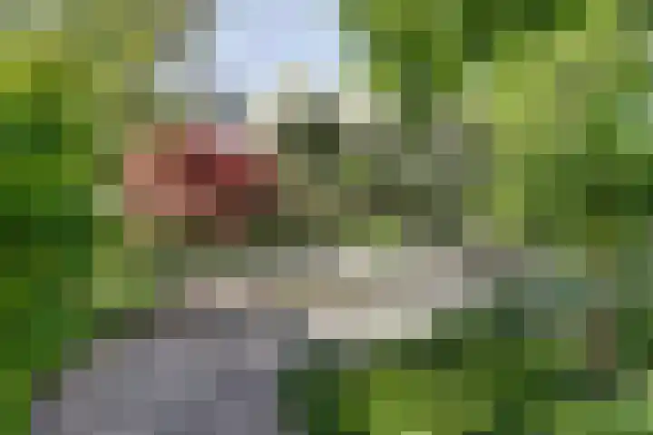 Utrechtseweg 125 D Zeist thumbnail 24
