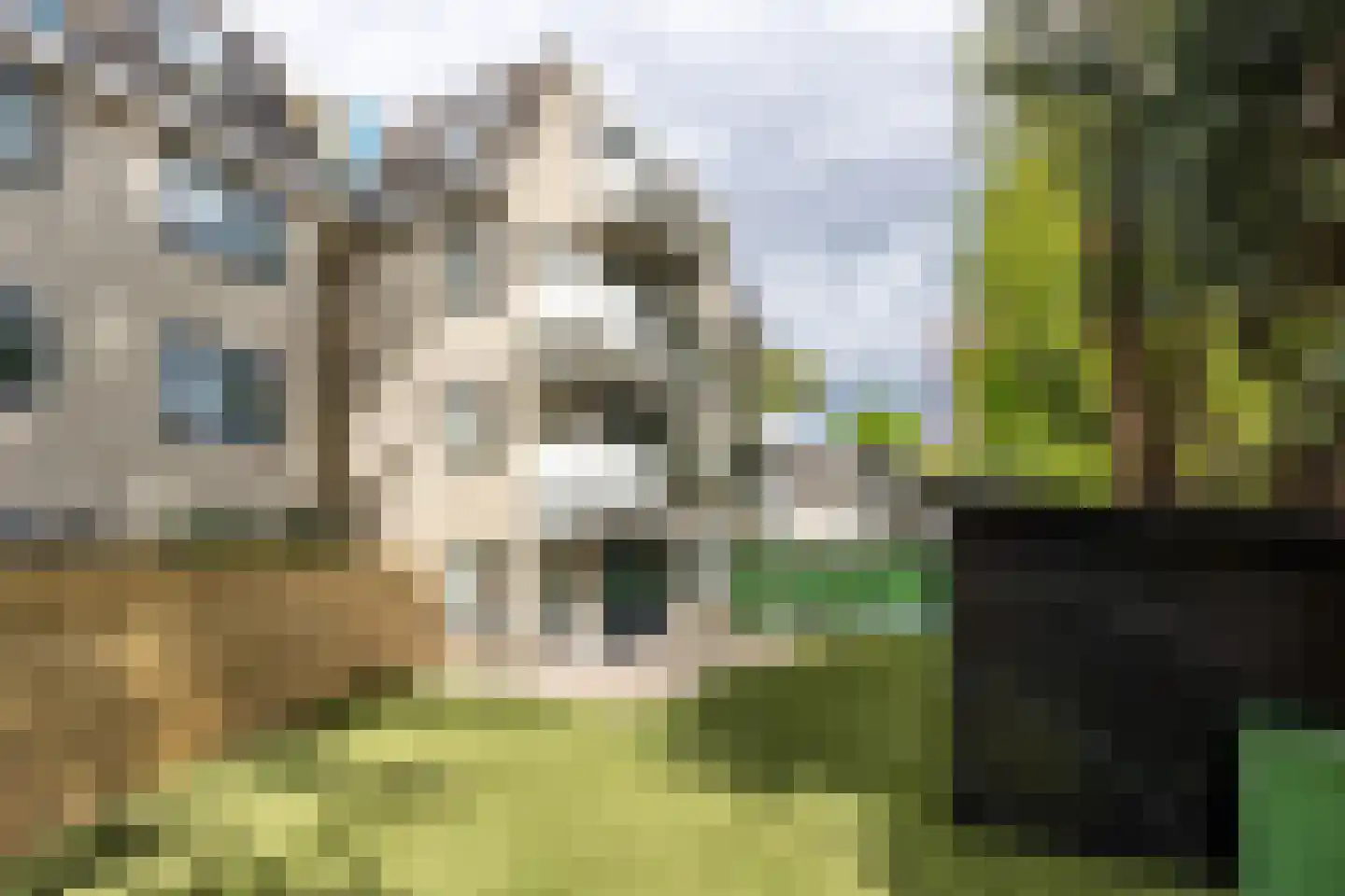 Utrechtseweg 13 11 Hilversum thumbnail 25