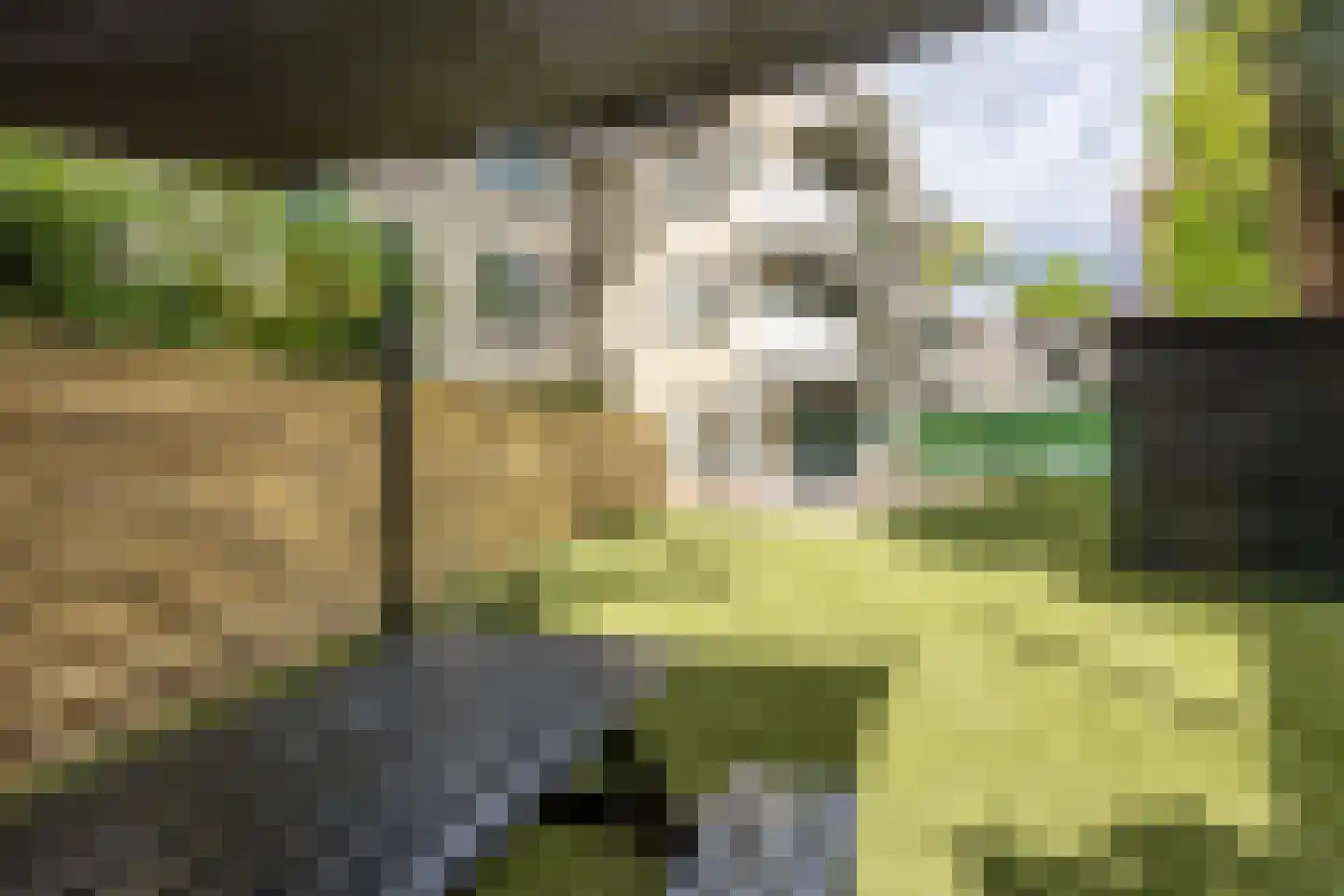 Utrechtseweg 13 11 Hilversum thumbnail 28