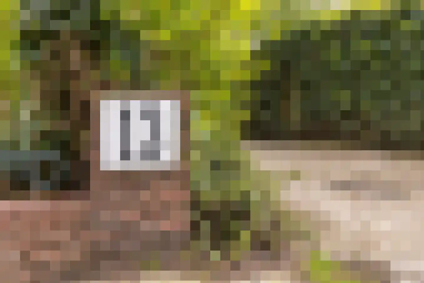 Utrechtseweg 13 11 Hilversum thumbnail 35