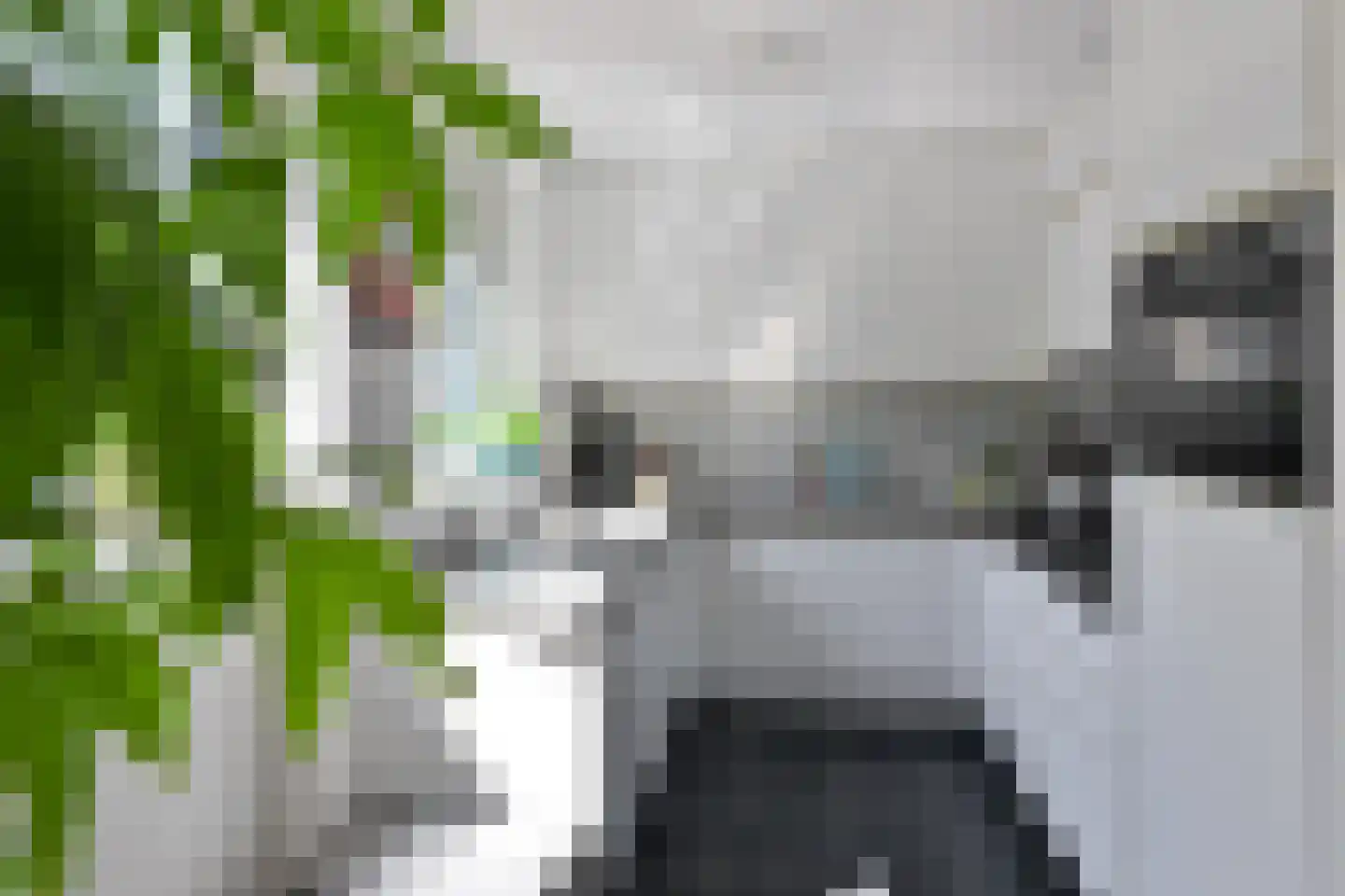Utrechtseweg 13 21 Hilversum thumbnail 9