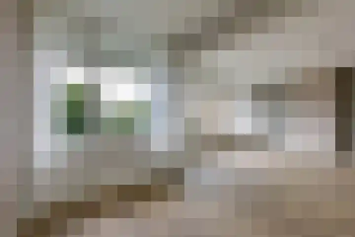 Utrechtseweg 134 Arnhem thumbnail 33