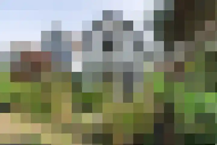 Utrechtseweg 14 Weesp thumbnail 40