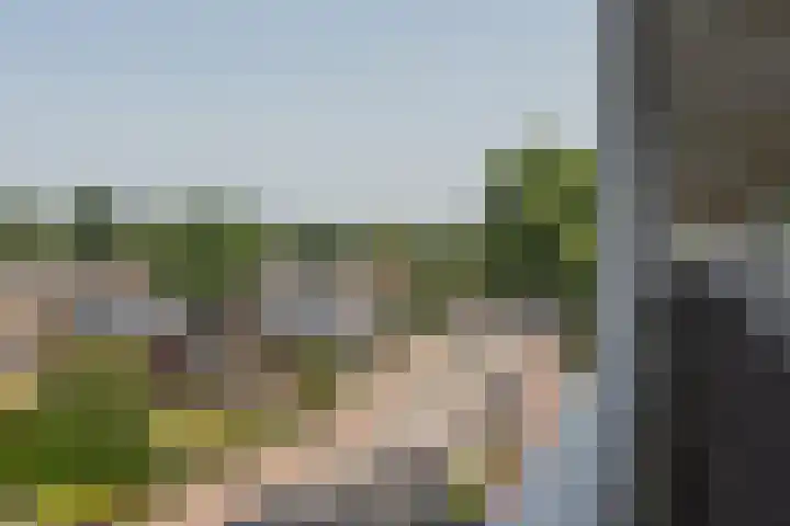 Utrechtseweg 145 47 Arnhem thumbnail 6