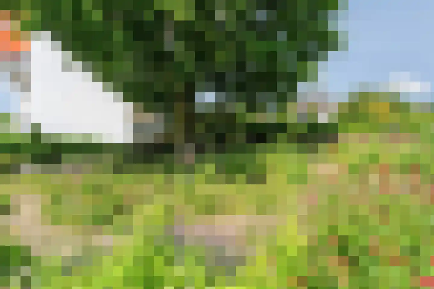 Utrechtseweg 145 53 Arnhem thumbnail 30
