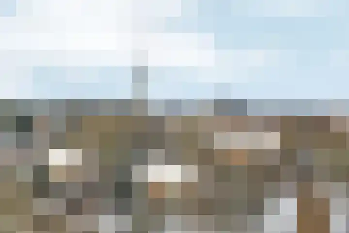 Utrechtseweg 145 63 Arnhem thumbnail 35