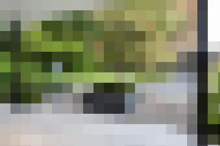 Utrechtseweg 151 Renkum thumbnail 35
