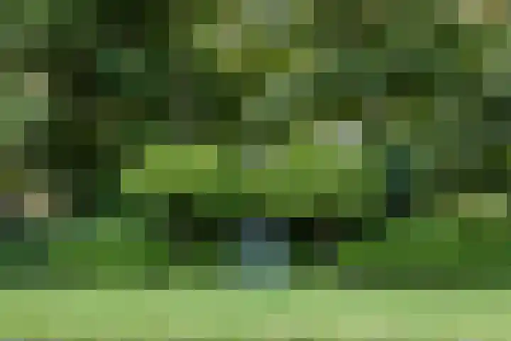 Utrechtseweg 151 Renkum thumbnail 38